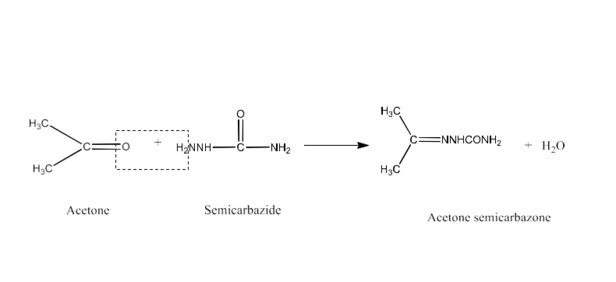 Semicarbazone