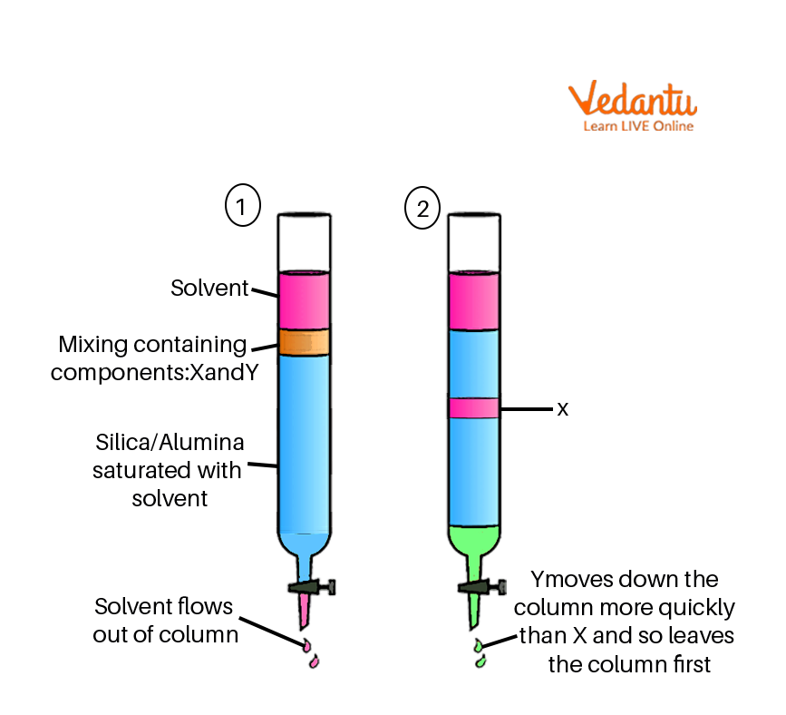 Chromatography diagram