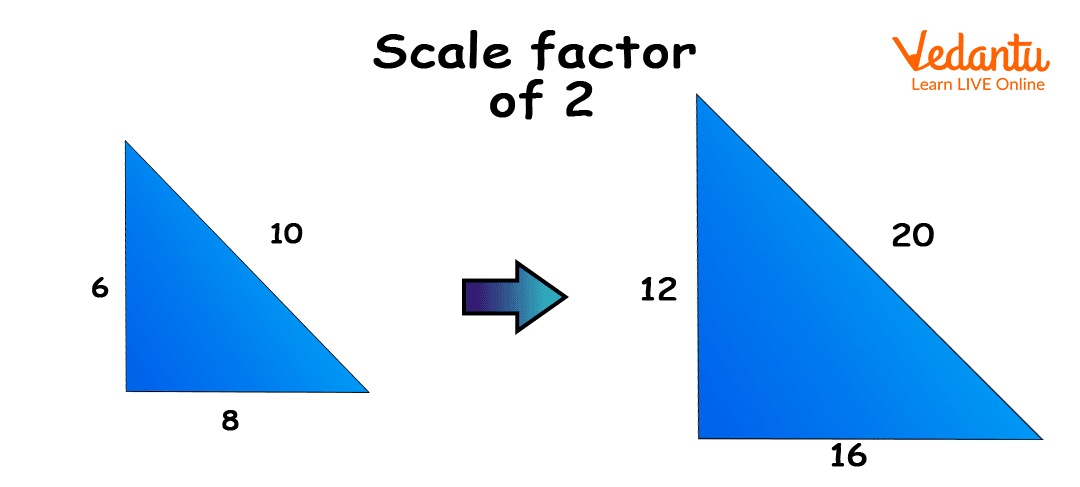 Scaling In Math Definition Types And Examples