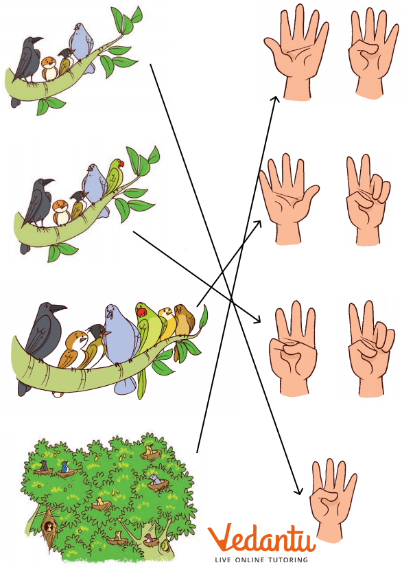 number of birds with the number of fingers answer