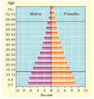 India’s population pyramid