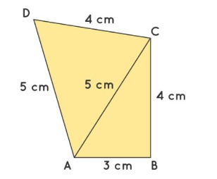 Find the area of a quadrilateral ABCD