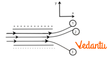 Electrostatic Field