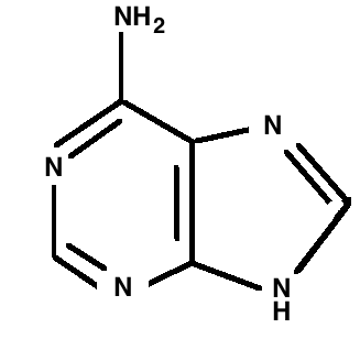 Adenine