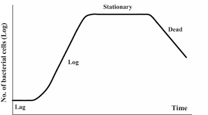 Bacterial Growth Curve