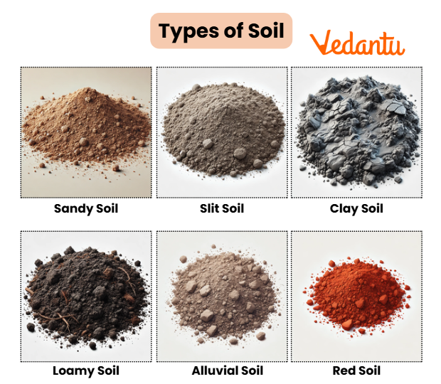 Types of Soil