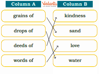 Match the words Answer