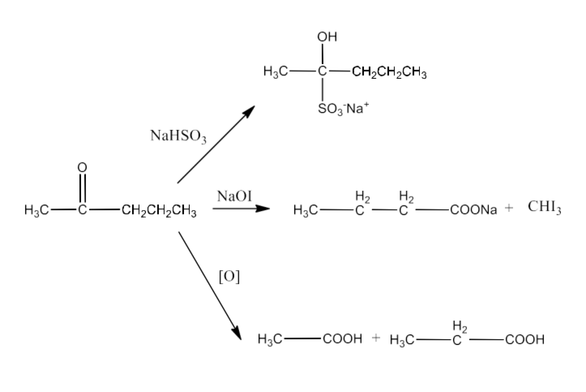 Resonance structures of phenoxide ion