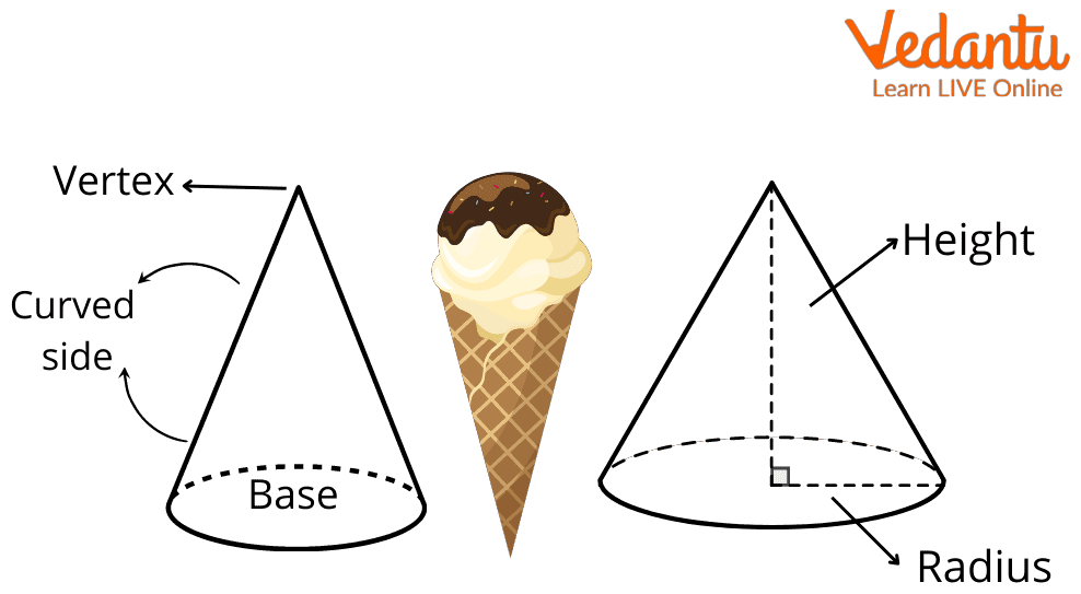 What is Cone? Definition, Formula, Properties, Examples
