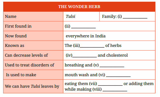 Description on Tulsi.