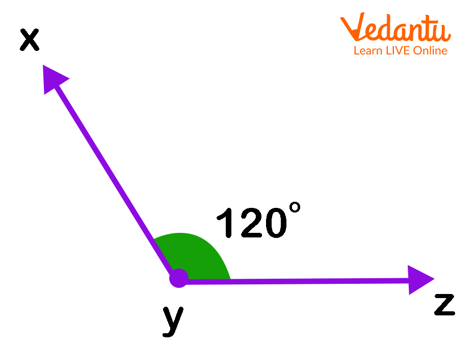 Obtuse Angle Learn Definition Facts And Examples