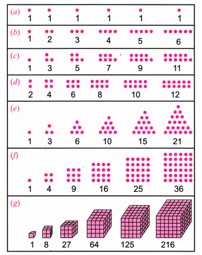 continuation of the image sequences