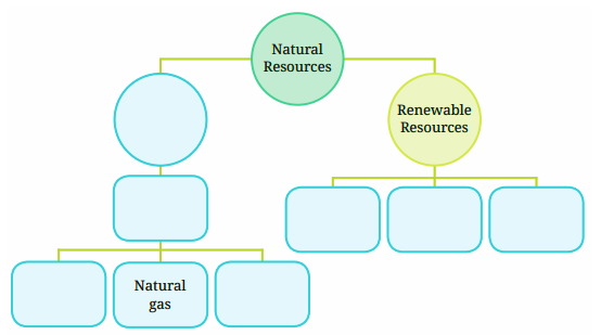 Fill in the blanks with Natural Resources Solution