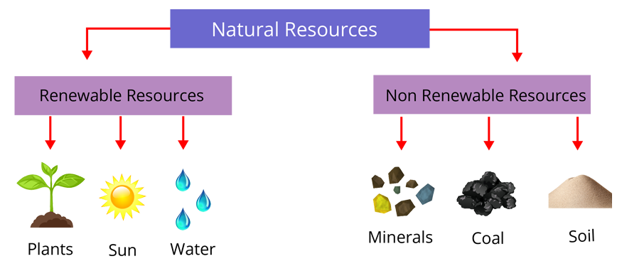 natural resources examples