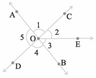 Figure containing a set of angles