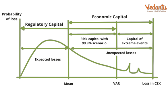 Economic Risk Capital