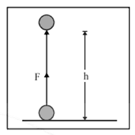 height through which the body is raised