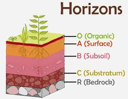 Layers of Soil