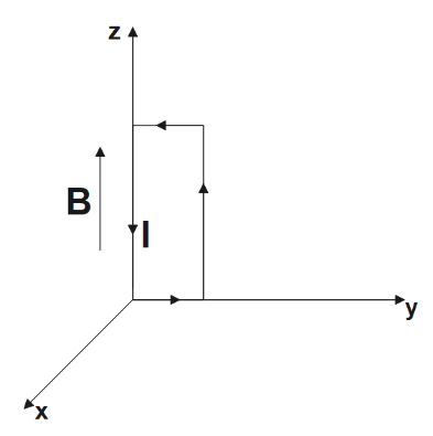 A uniform magnetic established along the positive z-direction with a rectangular loop placed vertically in the yz plane
