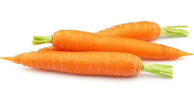 Carrot picture