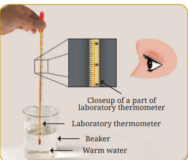 Steps to use a laboratory thermometer