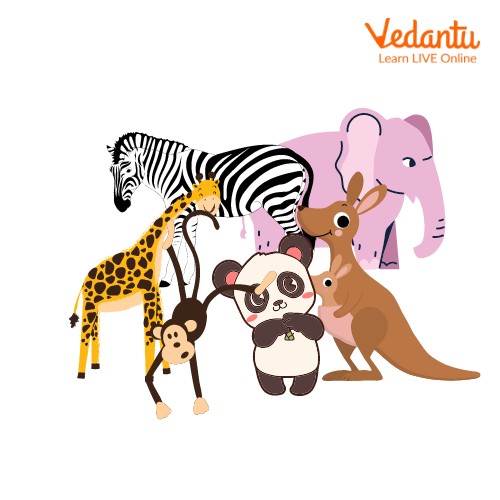 English Nature Vocabulary (Lesson 3): Describe Wild Animals
