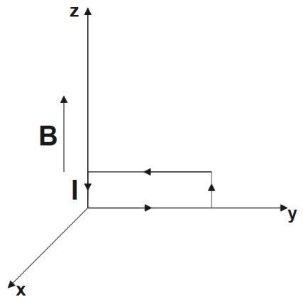 A uniform magnetic established along the positive z-direction with a rectangular loop horizontally placed in the yz plane