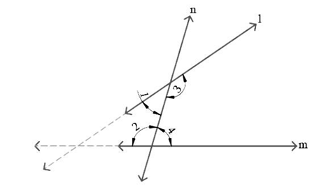 we can conclude that the lines m and l