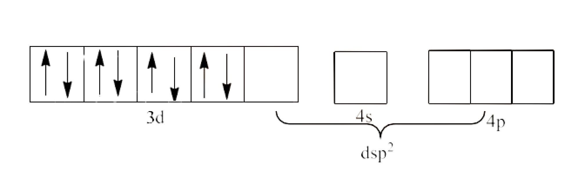 dsp2 hybridization