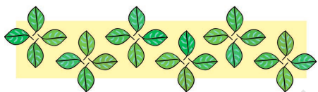 leaves pattern