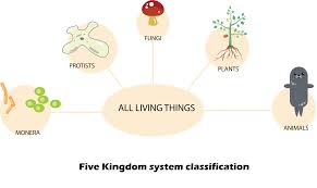 5 Kingdom Clasification