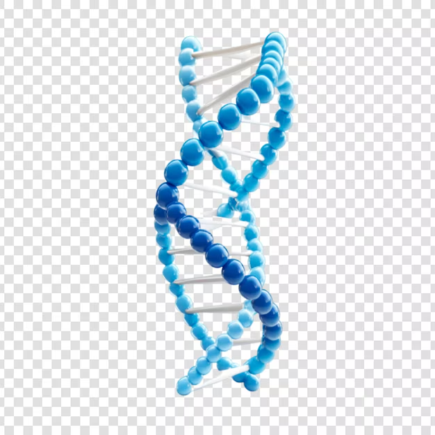 dna