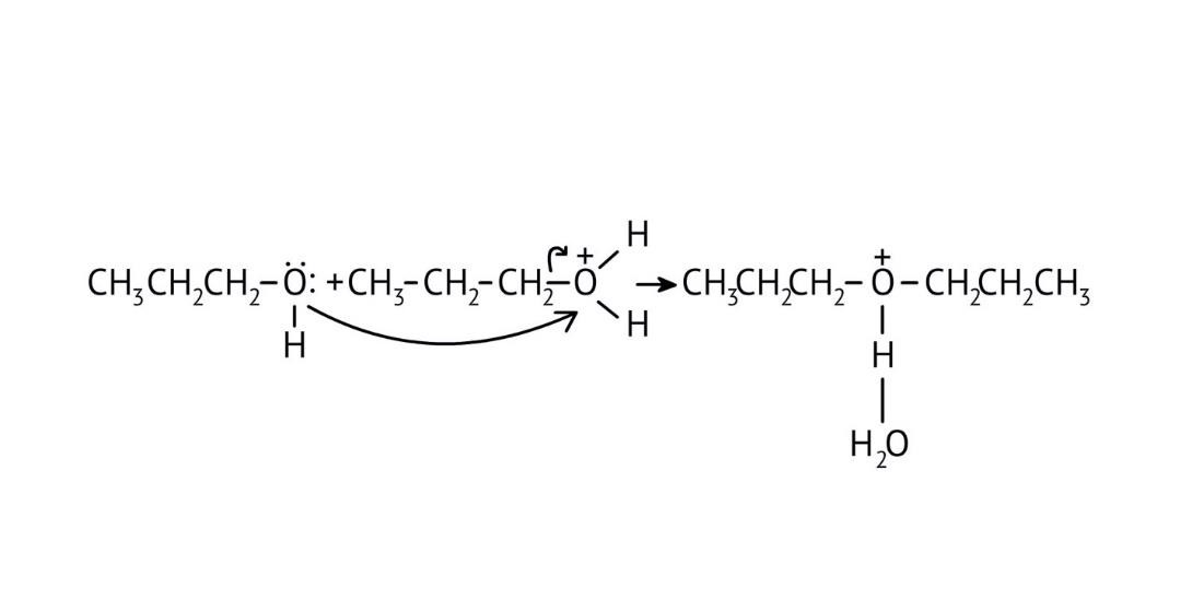 the nucleophilic action