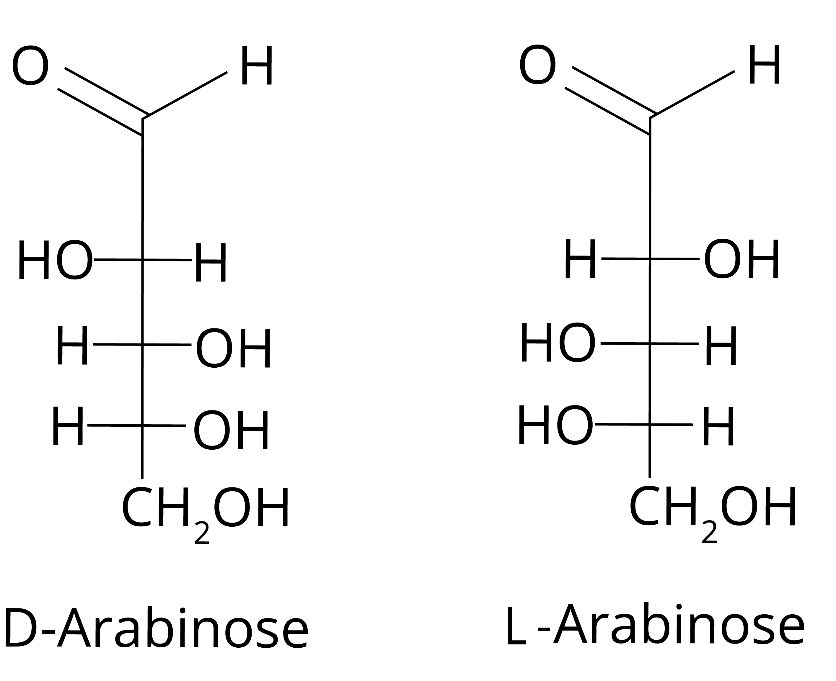 Arabinose is a pentose monosaccharide structure