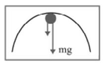 Motion in a Vertical Circle