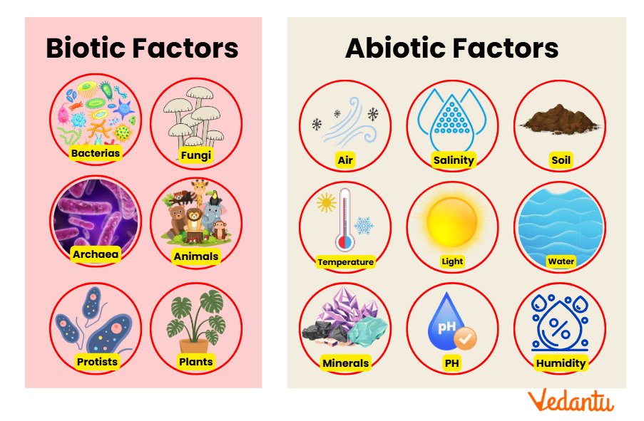 Biotic and Abiotic Factors