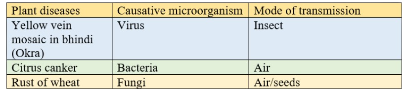 Disease-Causing Microorganisms in Plants