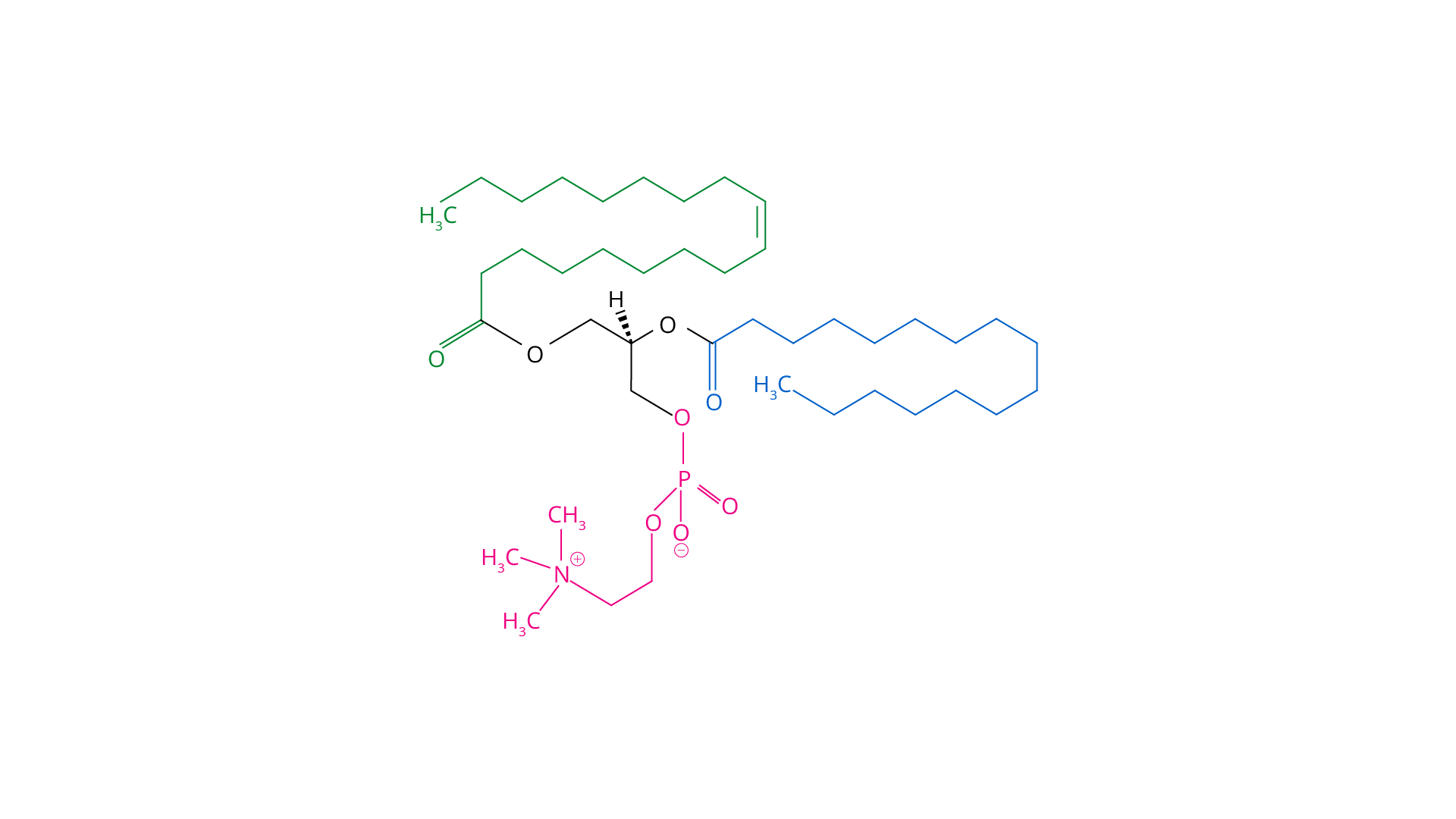 Lecithin