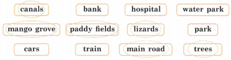 Circled all the things that Ravi and his friend see on their way to school