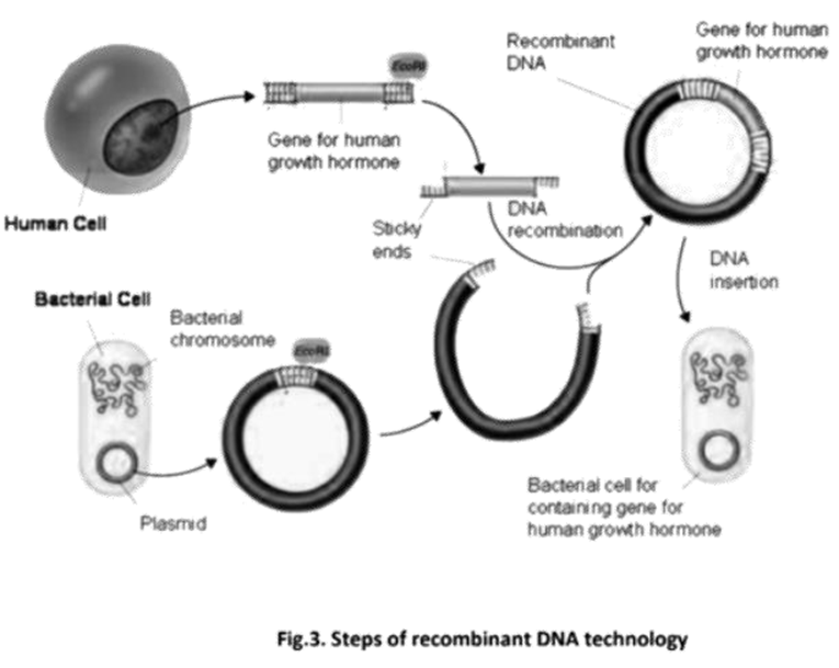 Expression of desired protein