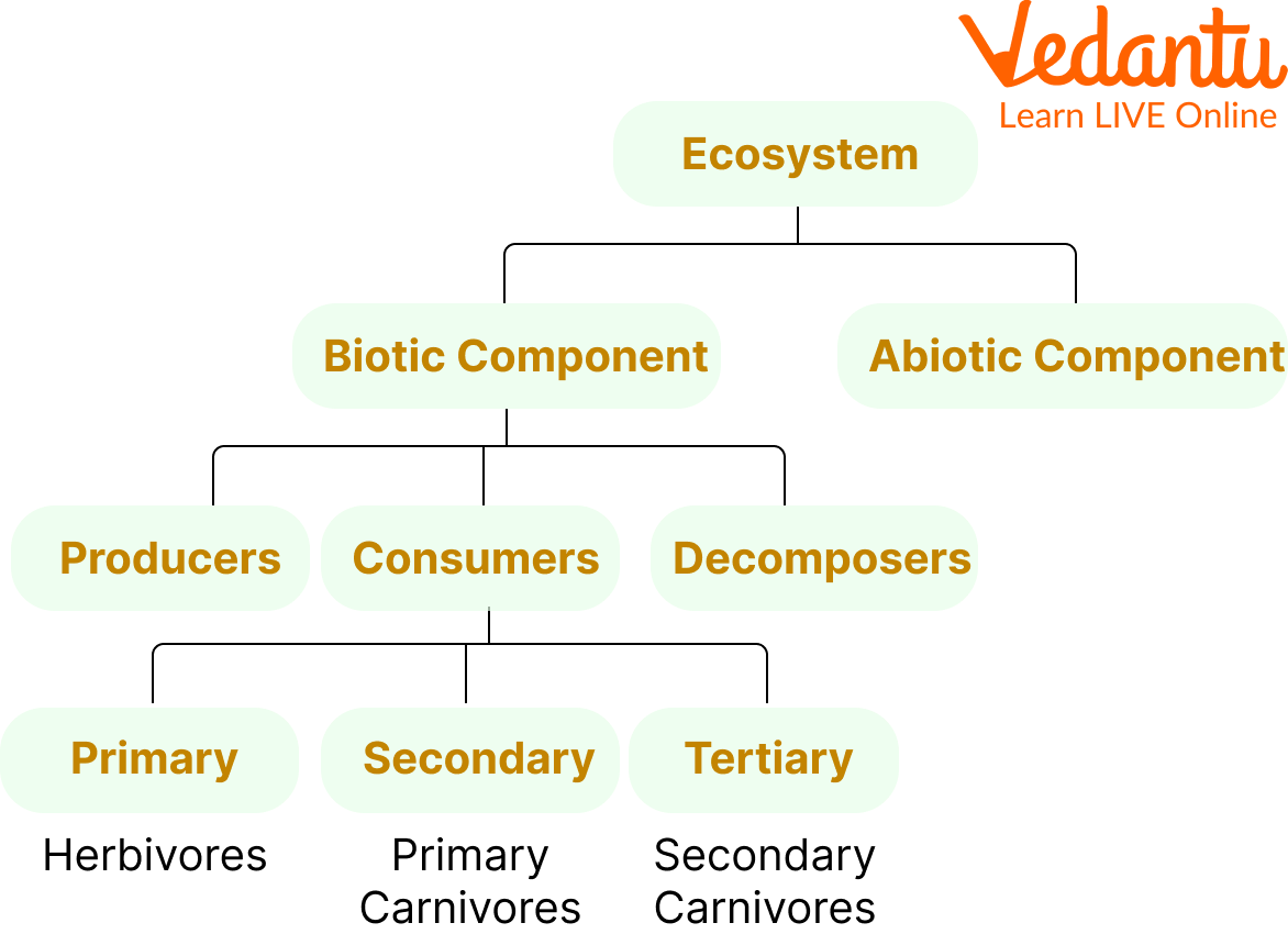 Eco System Structure