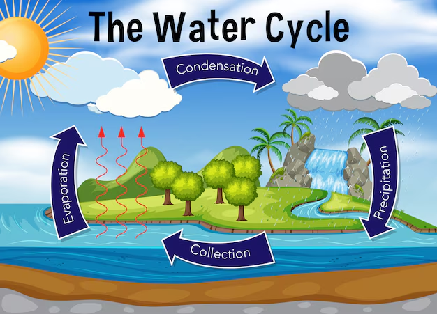 water cycle diagram