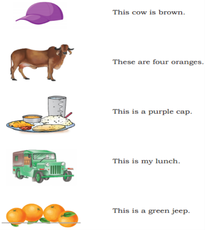 Match the following images to the sentences