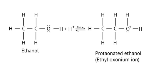 Ethanol protonation to generate the ethyl oxonium ion