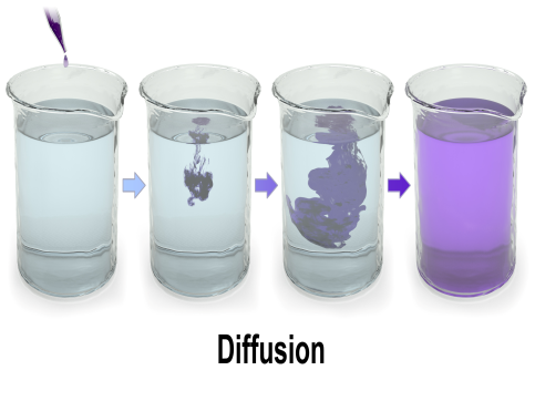 Diffusion