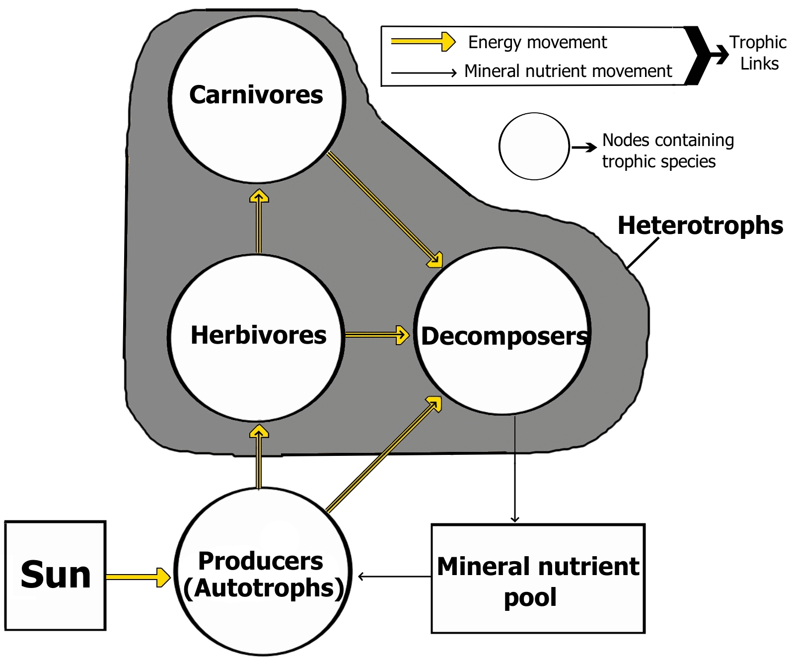 Interactive Food Web Diagram and Food Web