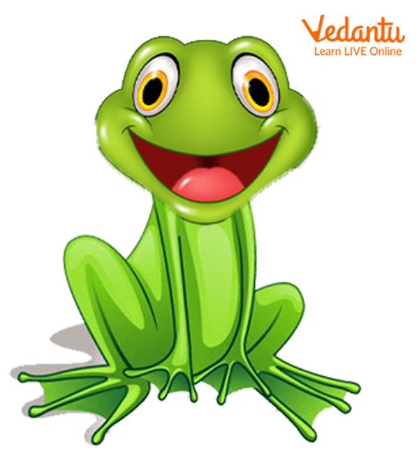 Happy frog character icon hand drawn vector illustration. 12738599 Vector  Art at Vecteezy