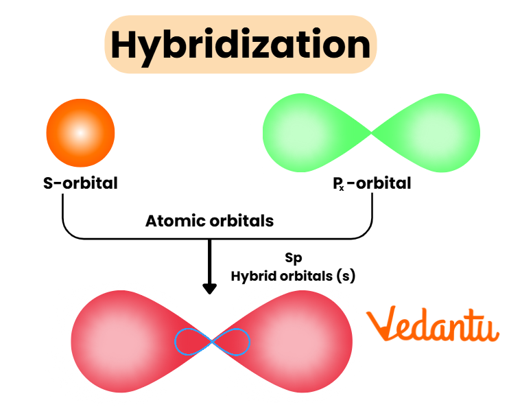 Hybridisation