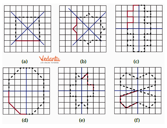 draw line of symmetry in blue line