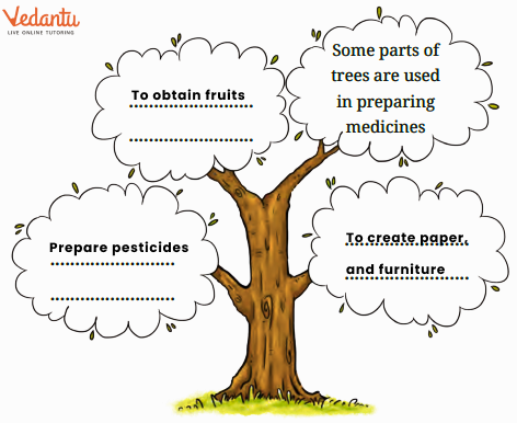 Uses of trees Solution